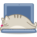 8 cat_laptop